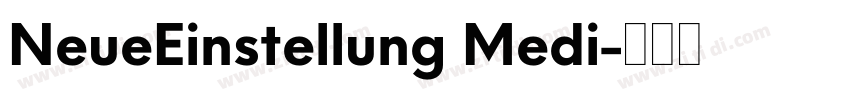 NeueEinstellung Medi字体转换 NeueEinstellung Medi字体转换